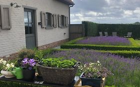 Cottage D'Hoge Schure